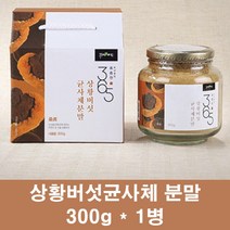 상황버섯균사체 100% 국산 상황버섯 추출물 분말 가루 상황버섯차 목질진흙버섯 뽕나무상황버섯 베타글루칸 효소 효능 선물, 1병, 300g
