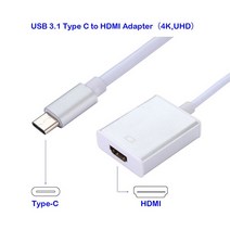 아이패드 프로 3/4세대11/12.9 USB 3.1 Type C to HDMI 어탭터(4k UHD), 1개, 실버