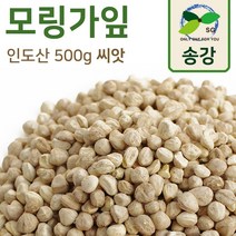 [송강] 모링가잎 환 400g 인도 베타카로틴 아미노, 모링가잎 씨앗 500g, 1개