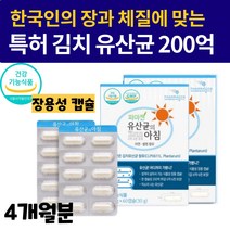 200억 김치 유산균 락토바실러스 플랜타룸 4개월분 아시도필러스 가세리 람노서스 파라 카제이 포스트바이오틱스 신바이오틱스 아연 셀렌 여성 남성 유산균 2