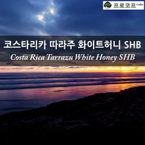 커피생두 - 2022년 뉴크롭 코스타리카 따라주 화이트허니 SHB, 1kg