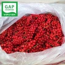 해마을 GAP인증 고랭지 문경오미자생과 세척오미자, 1개, 5kg(생과)