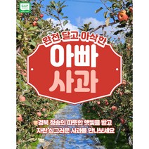 경북 청송 새콤달콤한 부사 아빠사과 5kg 중소과 25과 내외(소과), 5kg25과내외