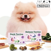 강아지 애견 화식 웰썸 동애등에 테린 120g 자연식, 오리맛