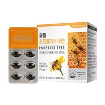 광동 프로폴리스 아연 셀레늄 플라보노이드 구강건강 항산화 면역력도움 600mg 60캡슐, 1개X60캡슐
