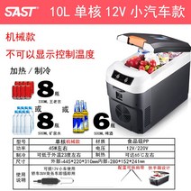 차량용 약보관 박스 복막 상자 투석 보냉 인큐베이터 투석액 조절 온도, 10L/수평 기계식 차량 겸용(12V 싱글)