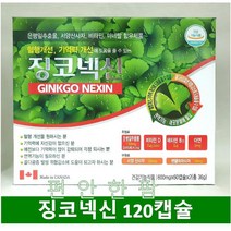 징코넥신 120캡슐 4개월분 혈행개선 기억력개선 산사자 병풀 은행 장미열매 믹스베리