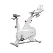 샤오미 Yesoul 스핀바이크 실내자전거 가정용 스피닝 유산소 운동 기구 하체 M1 화이트, 단품