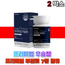 우슬정 우슬환 우슬 쇠무릅 뿌리 부모님 노인 국산 쇠무릎풀 30대 20대 50대 여자 남자 중장년 상어연골분말 어골칼슘 해조칼슘 보스웰리아 국내산, 2박스(60정), 2개
