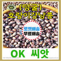 [OK씨앗] [호랑이강낭콩(덩굴)] 강낭콩씨앗 종자(오케이씨앗), 30g