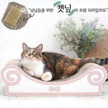 패리스캣 고양이 소파스크래쳐 캣닢포함, 블루