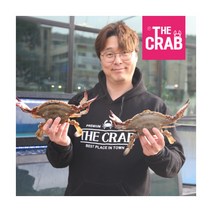 [더꽃게] 제철꽃게 (급랭) 숫 小 3kg (15미 전후), 상세 설명 참조
