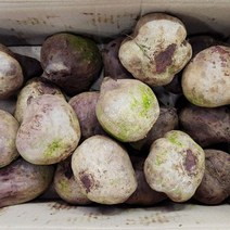 레드비트 1kg, 1개