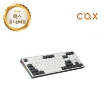 콕스 CK01 텐키리스 87키 배열 PBT 이색사출 사이드 RGB 투톤 기계식 유선 키보드 그레이화이트 적축