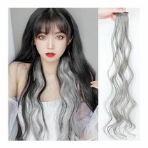 헤어피스 웨이브 포인트 컬러 붙임머리 여성가발, 색상:실버, 단품