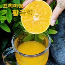 제주 프리미엄 황금향 명절과일선물 추석선물 고급과일선물, 1개, 5kg대향(11~20과)