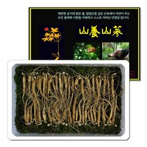 삼바이 산양산삼 5-6년근 작은삼(소삼) 50뿌리 선물세트 산삼 산양삼 장뇌삼 인삼 면역력 기력보강 설날 추석 설선물 설명절 추석선물 추석명절 명절선물, 2~5g, 50개입