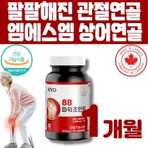NYG뉴일리 88파워조인트 관절연골 msm관절영양제 상어연골분말, 1개(1개월)