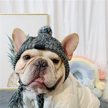 골든독 강아지 고양이 꽈배기 모자 겨울 니트 소형견 중형견 대형견 프렌치불독 웰시코기 허스키 겨울모자