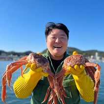 국내산 동해바다 제철 대게 수율보장, 국산대게(생물), 박달대게 중 3마리(생물)_수율90%내외
