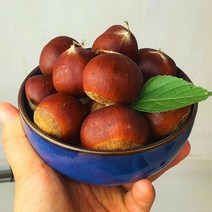 2023 명품 햇밤 특등품 진주밤 공주밤 제수용 밤, 1box, 2kg(햇밤 대)