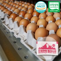 무항생제 구운계란 맥반석 훈제란, 60구