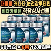 빌베리루테인 비타민A영양제 눈이건조할때 눈의피로 캐나다 눈영양제 빌베리영양제 눈비타민 아연 미네랄 루테인추천 빌베리 노안에좋은영양제 눈에좋은비타민 눈건강영양제 베타카로틴영양제