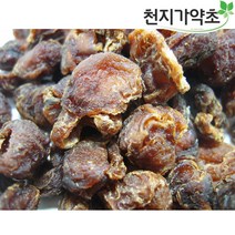 (롯데택배발송) 천지가약초 열대과일 용안육 500g longan 롱간 말린 원육 과육, 1개