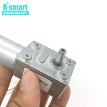 웜기어 감속기 모터 Bringmart JGY-2430 브러시리스 12 볼트 24V DC 웜 기어 모터 자동 잠금 가역 브레이크, 13 24V 30rpm