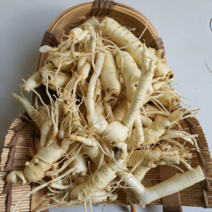 금산인삼도매센터 (세척)완파삼1채