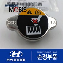 아슬란 순정 라디에이터 캡 뚜껑 (2014-2017)