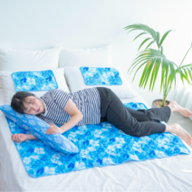 에이블 아이스 쿨매트 특대형세트 싱글세트 미니 방석, 모던