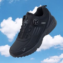 [당일출고] 남성용 컴포트 다이얼 보아 운동화 단화 와이어 스니커즈 (2 Color) 헤드웨이