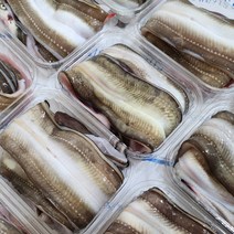 통영 손질 자연산 바다장어 특대 + 소스 2종, 1kg (2~3미)