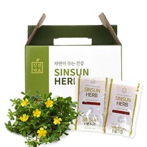 국산 쇠비름즙 110mlx30포, 1, 본상품선택, 본상품선택