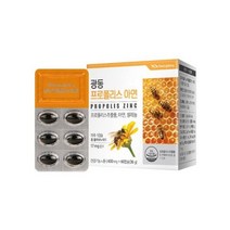 광동생활건강 광동 프로폴리스 아연 600mg x 60캡슐