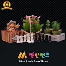 [천삼백케이] [명인랜드] 자석체스기물세트-중형 킹사이즈높이 52mm 초등학교 유치원 교재용, 단품