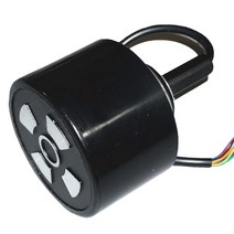 고출력 전기 스쿠터 90 허브 모터 자동차 브러시리스 롤러 스케이트 24V 36V 250W, 01 83.5mm diameter_01 24V