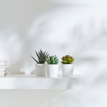 이케아 FEJKA 3P 인조 다육 화분 조화 식물 플랜트 홈가드닝 미니 다육이 인테리어소품