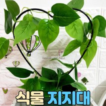 식물 줄기 지지대, 하트 모양