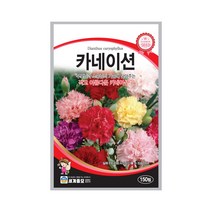 모칸도 (무배)세계 카네이션 꽃씨 (150립), 1개