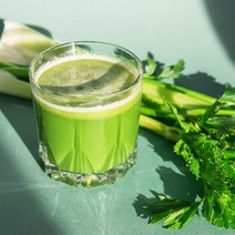 헬시파파 100%퓨어 몸신 샐러리주스효능 샐러리즙 180ml 7병 Celery juice, 100%샐러리즙 180ml 7병