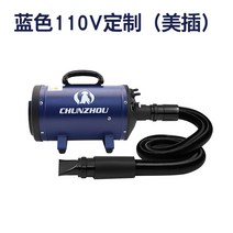 Chunzhou BS-2400 애완 동물 털 말리는 헤어 드라이어 개 고양이 전용, BS 블루 110V 커스터마이즈 US 플러그