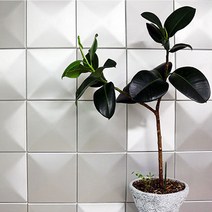 DIY 아트 쿠션타일 작은사각(140x140mm) 양면테프 간단시공 안전푹신 쿠션 방음 단열 인테리어 산뜻, 스마일몰 본상품선택, 스마일몰 카키