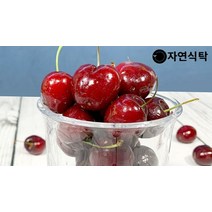 [자연식탁]칠레산 고당도 프리미엄 생체리 3kg(10row), 단품