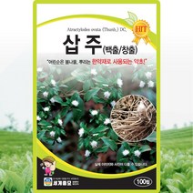 삽주 씨앗 삽주 씨 토종 약초 씨 종자 100립, 단품