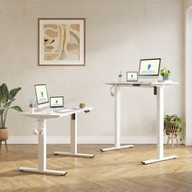 FlexiSpot 전동 모션데스크 EF1 컴퓨터책상 높이조절책상 A/S 5년 높이690-1100mm 학생책상 낮은 높이 사무실