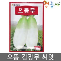 으뜸무 600립 무우 무 씨앗 고랭지 김장무 종자