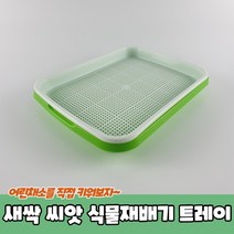 새싹재배기 식물재배기 모종판 새싹보리키우기 씨앗 트레이 채소재배기 새싹, 상세페이지 참조
