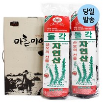 울돌목 완도산 햇 미역 선물용 200g+200g 산모용, 1개